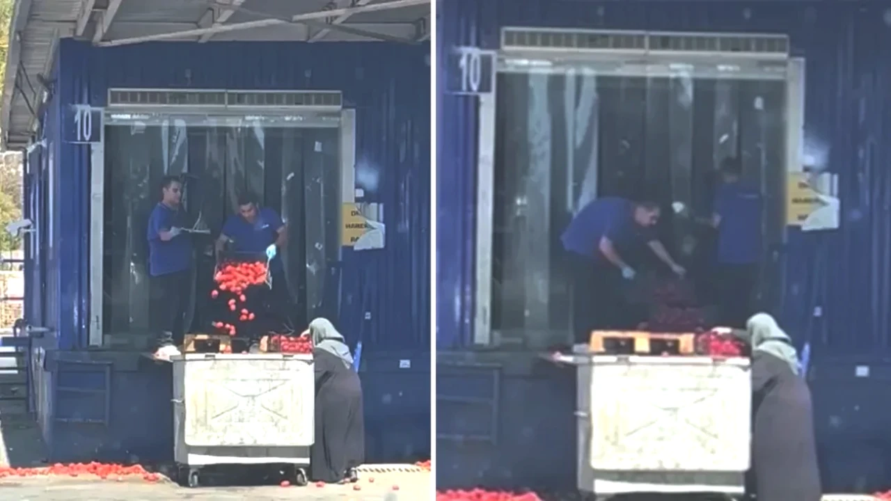 Zincir Marketlerde Şok Olay! Kasa Arkası Domatesler Neden İmha Edildi?
